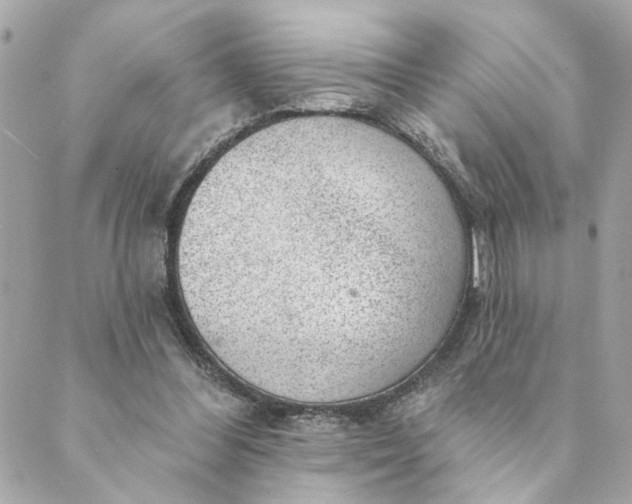 X0000088900300200706291511