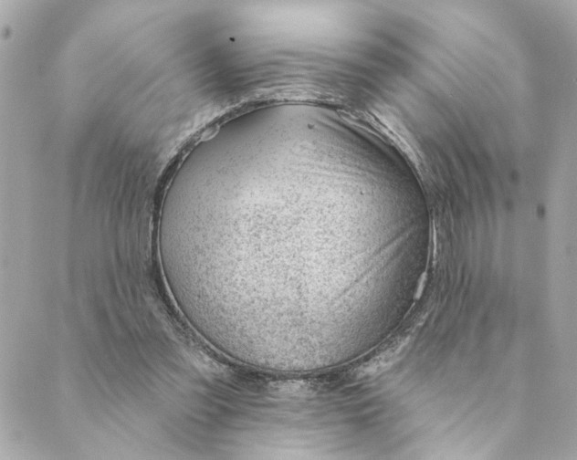 X0000088900301200706291511