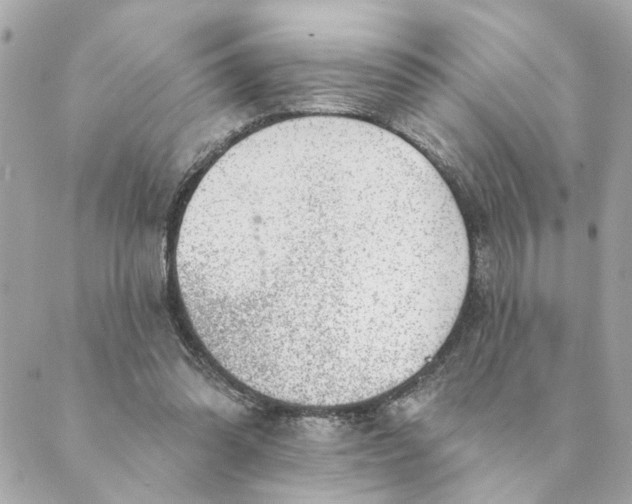 X0000088900302200706291511