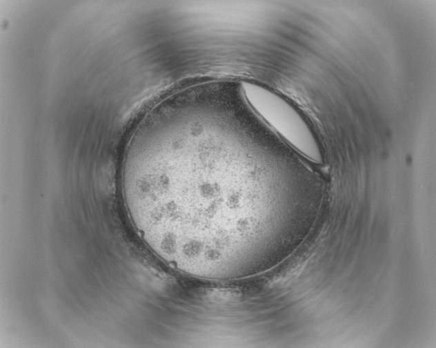 X0000088900303200706291511