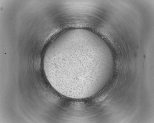 X0000088900304200706291511