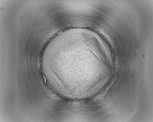 X0000088900305200706291511