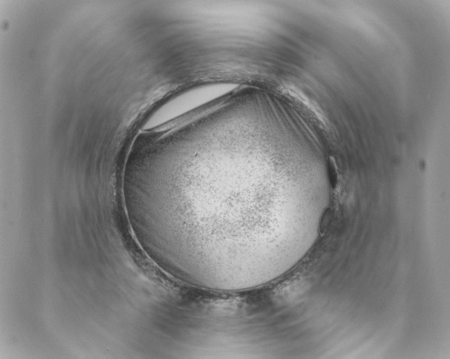 X0000088900306200706291511