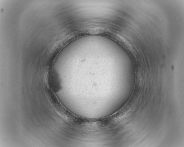 X0000088900307200706291511