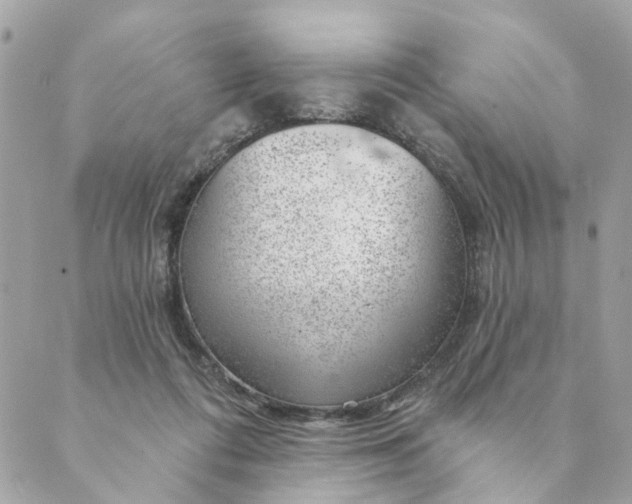 X0000088900312200706291511