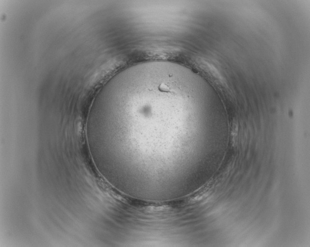 X0000088900314200706291511