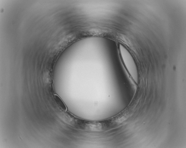 X0000088900317200706291511