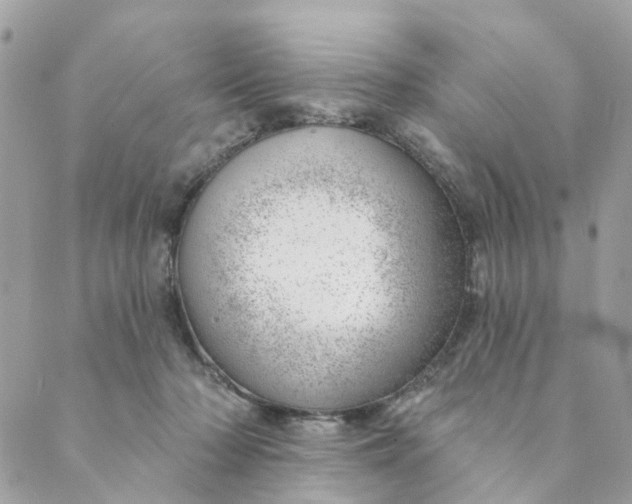 X0000088900318200706291511