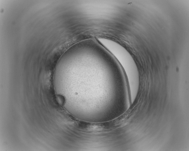 X0000088900319200706291511