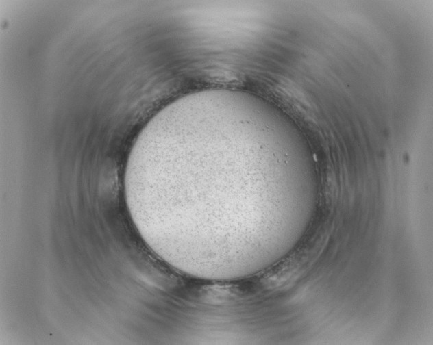 X0000088900320200706291511