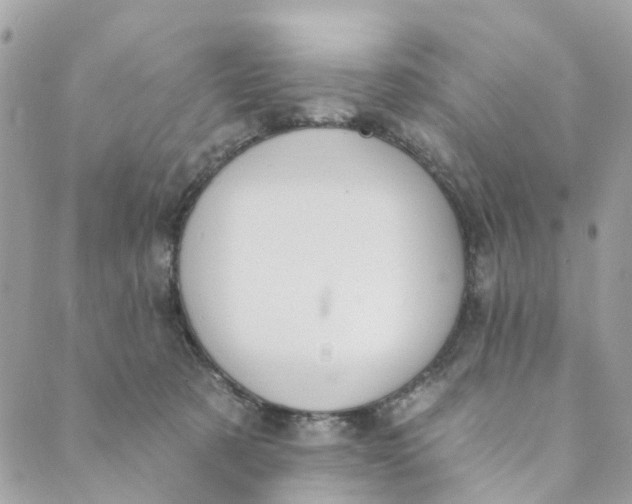 X0000088900321200706291511