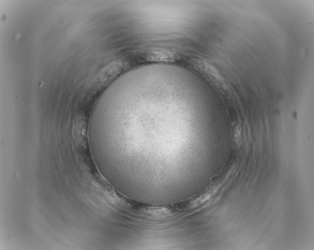 X0000088900322200706291511