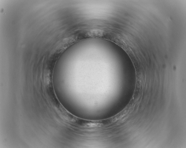 X0000088900323200706291511