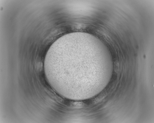 X0000088900324200706291511