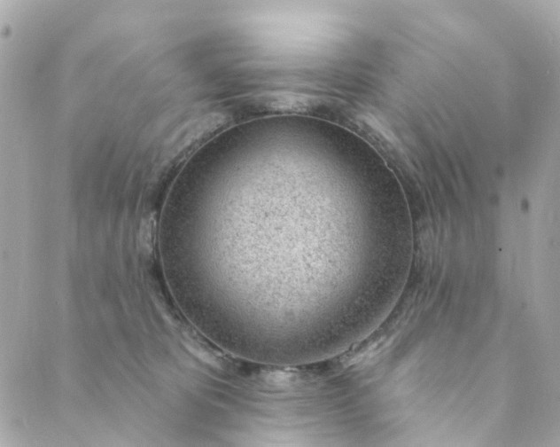 X0000088900325200706291511