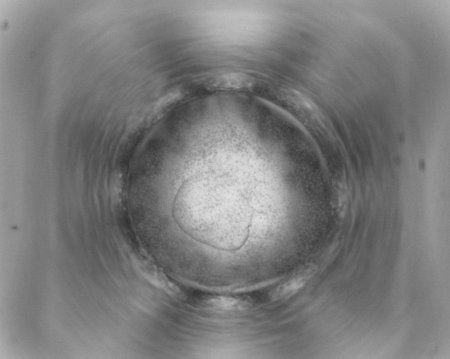 X0000088900326200706291511