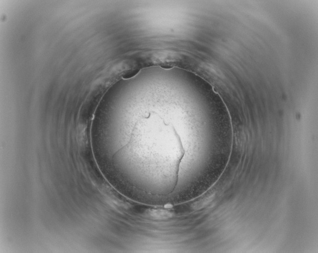 X0000088900327200706291511