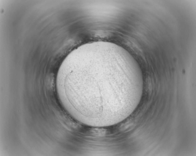 X0000088900328200706291511