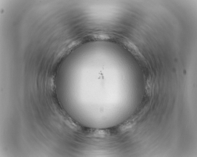 X0000088900330200706291511