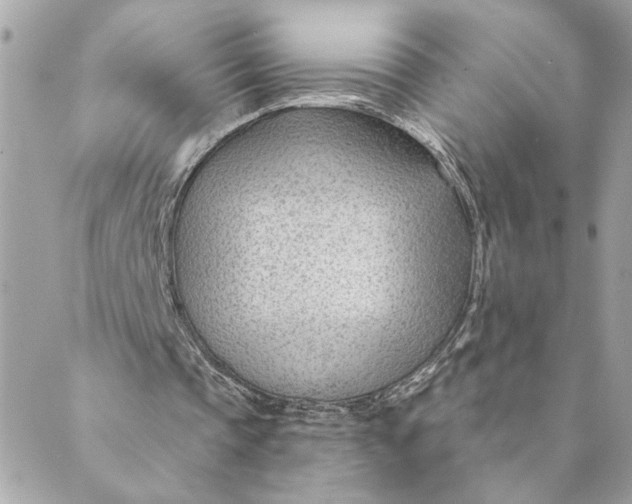 X0000088900337200706291510