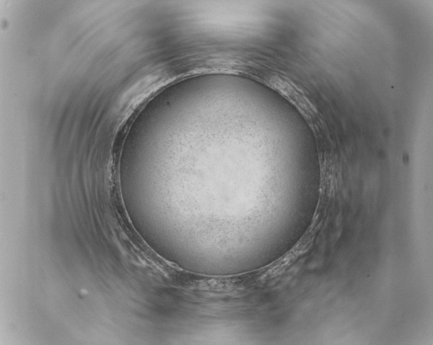 X0000088900338200706291510