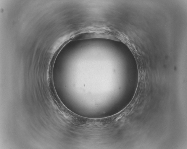 X0000088900340200706291510