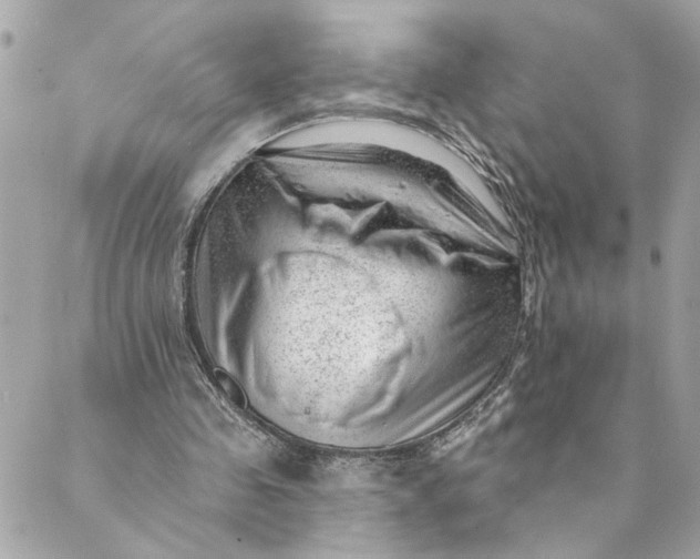 X0000088900341200706291510