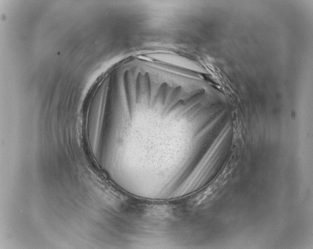 X0000088900342200706291510