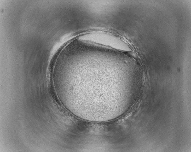 X0000088900343200706291510