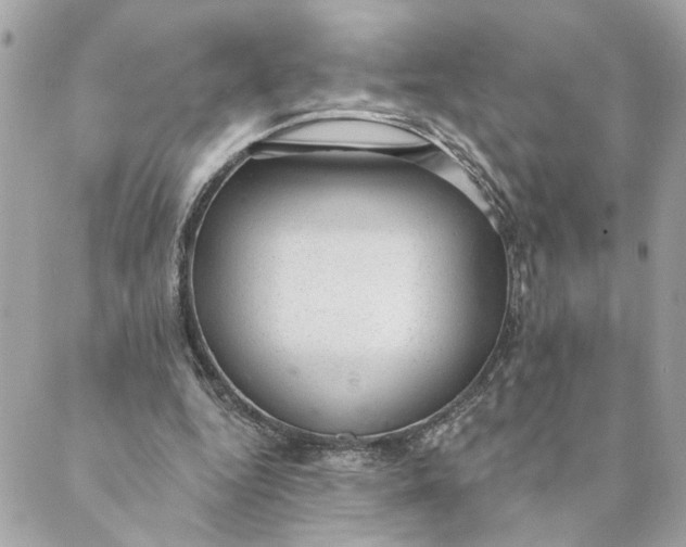 X0000088900344200706291510