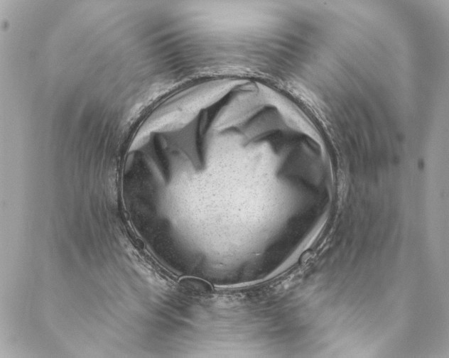 X0000088900345200706291510