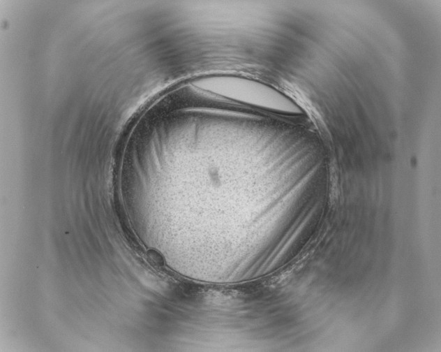 X0000088900346200706291510