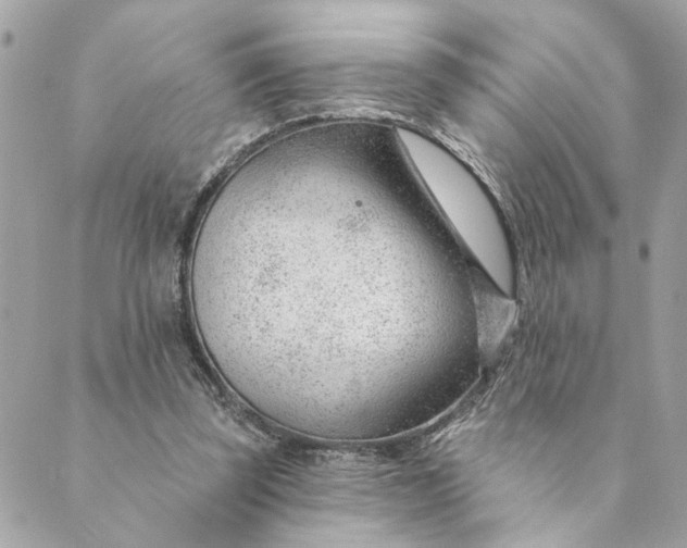 X0000088900347200706291510