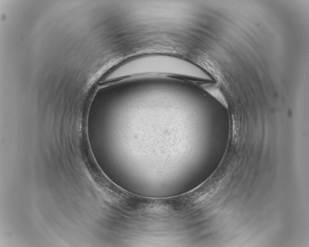 X0000088900348200706291510