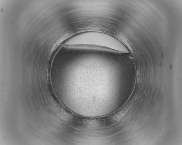 X0000088900349200706291510