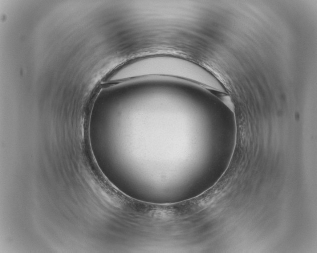 X0000088900350200706291510