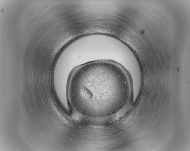 X0000088900352200706291510