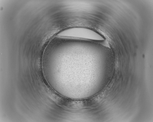 X0000088900353200706291510