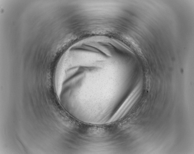 X0000088900354200706291510