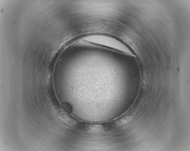 X0000088900355200706291510