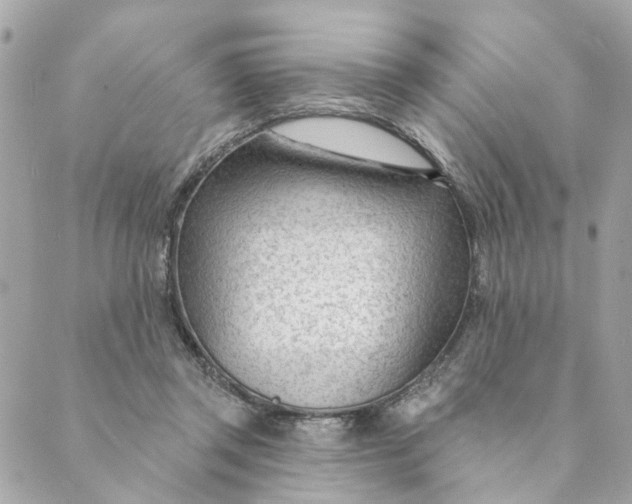 X0000088900357200706291510