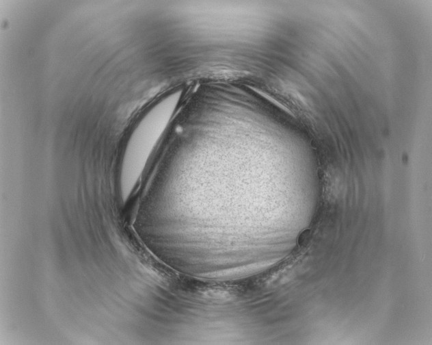 X0000088900358200706291510