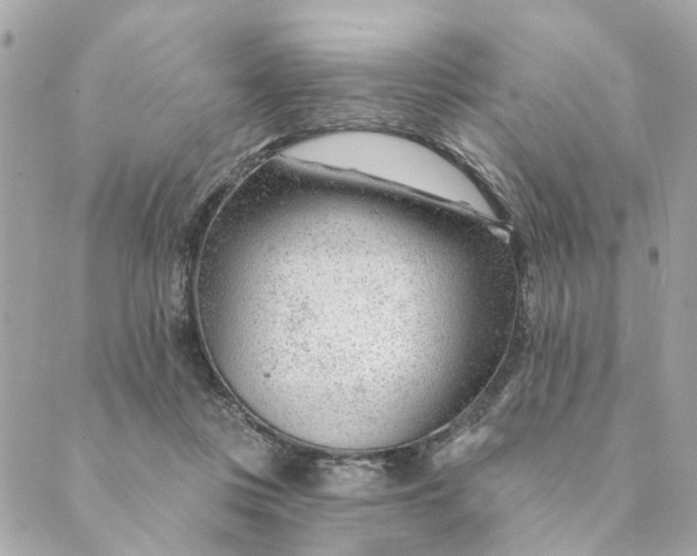 X0000088900359200706291510