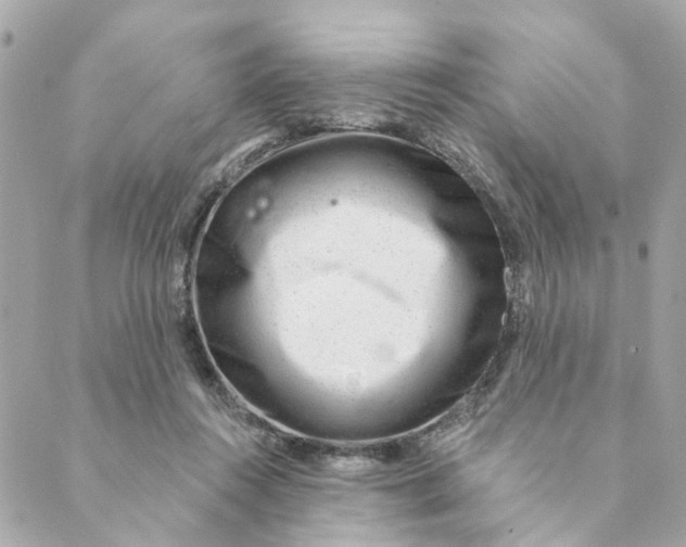 X0000088900360200706291510