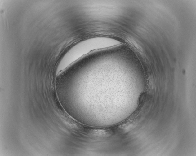 X0000088900361200706291510