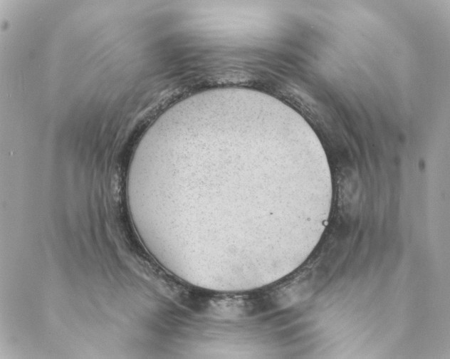 X0000088900362200706291510