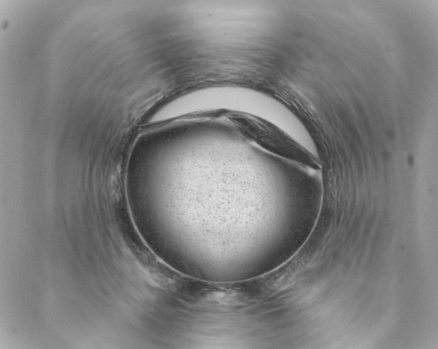 X0000088900364200706291510