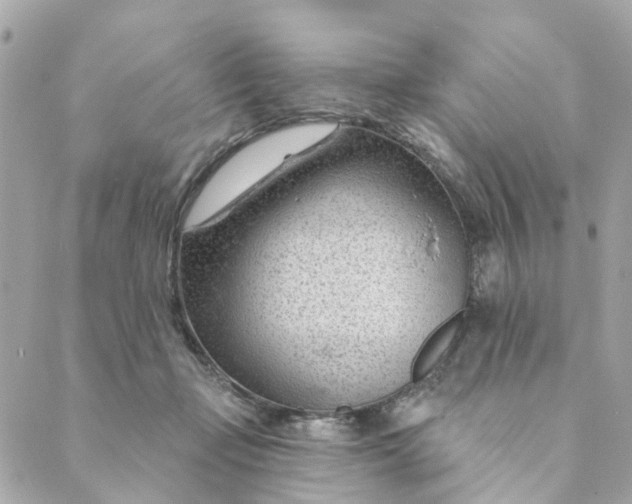 X0000088900365200706291510