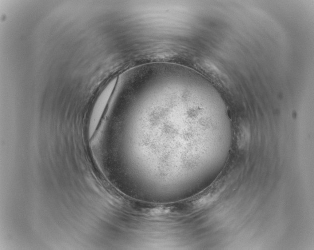 X0000088900366200706291510