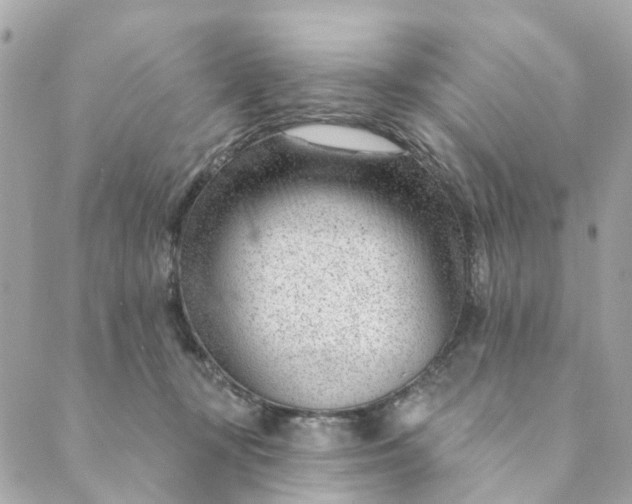 X0000088900367200706291510